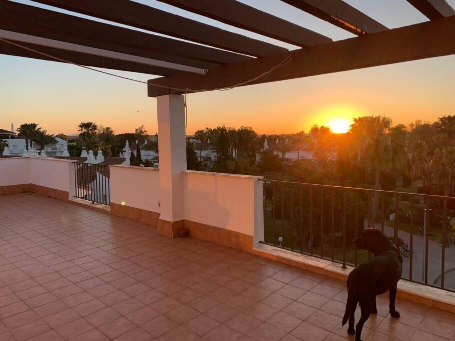Atico Costa Ballena - Cadiz Rota Bagian luar foto